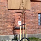 vbild27